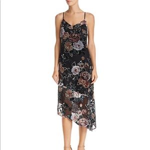 Nanette Lapore velvet floral dress